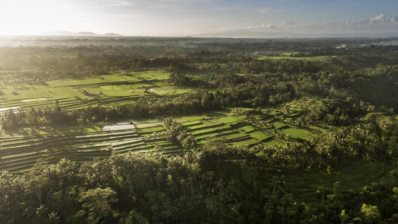 Como Shambhala Estate Payangan Zewnętrze zdjęcie