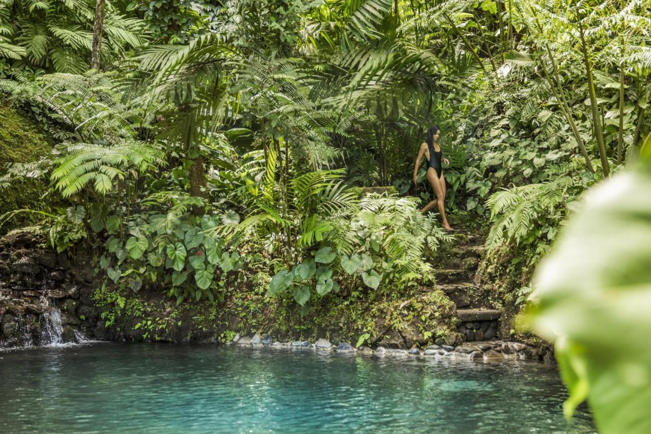 Como Shambhala Estate Payangan Zewnętrze zdjęcie